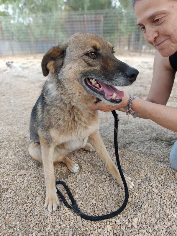 Pils 5 anni di tenerezza taglia media Foto 3